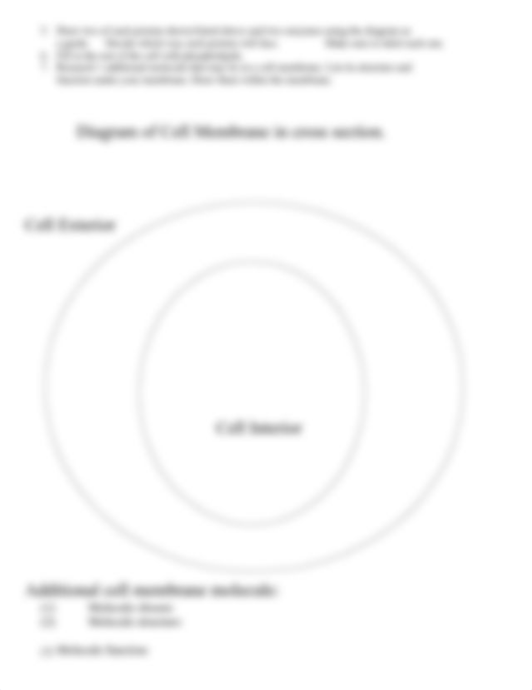 Ch. 3 - Cell Membrane Drawing Activity.docx_d8wn4fnljor_page2