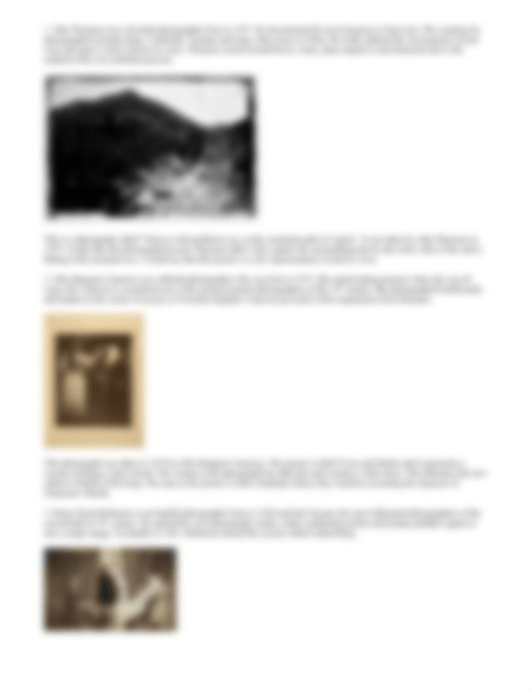 19th c. Photo History Take-home Project #2.docx_d8ws4qz7nqm_page3