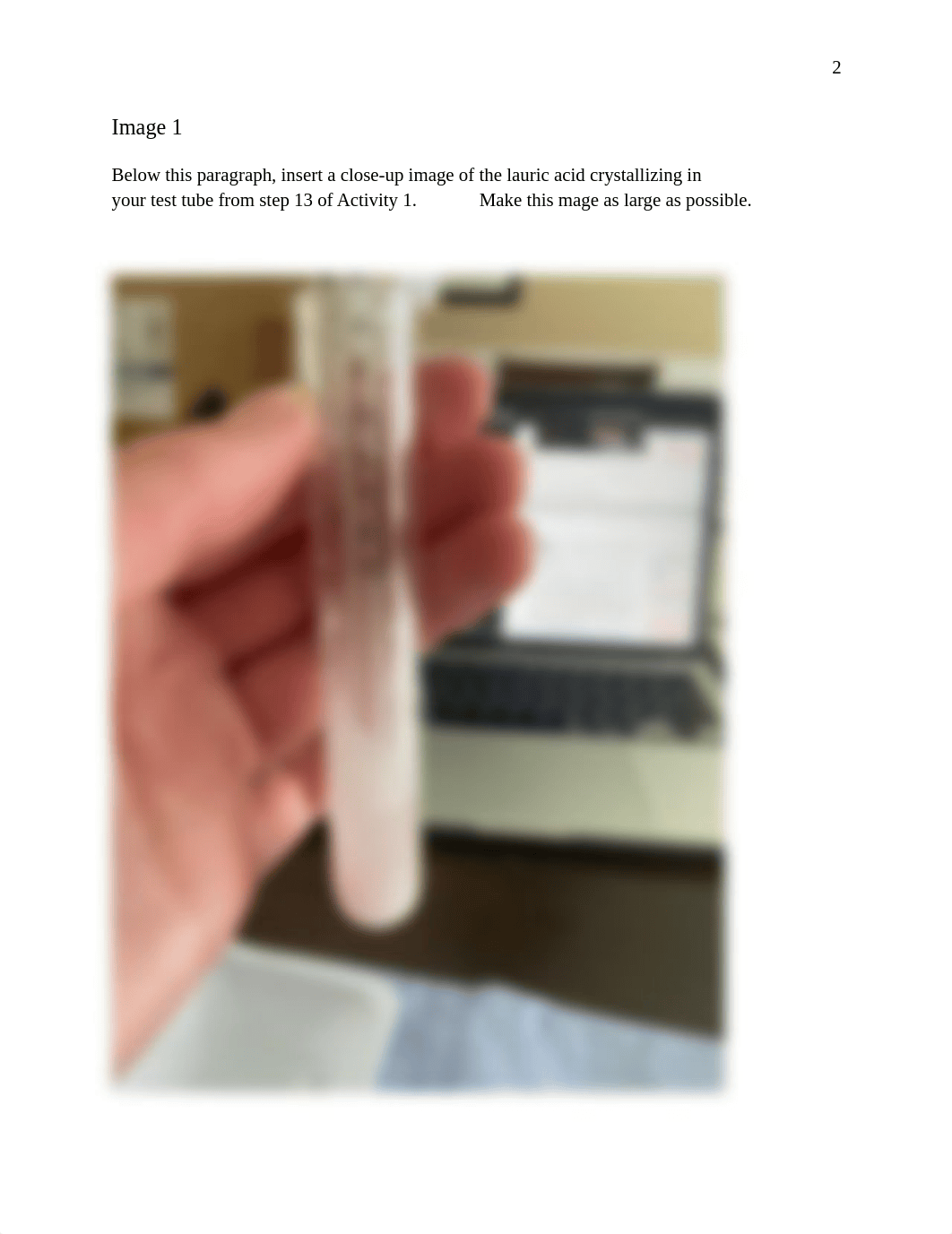 L7 Molar Mass by Freezing Point Depression Lab Report Template.pdf_d8wtjnc8r7r_page3