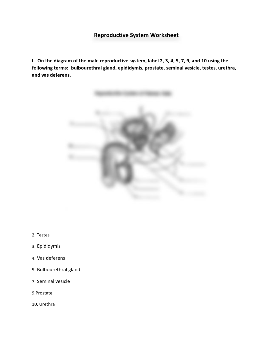 Reproductive System Worksheet.pdf_d8wxlw9htld_page1