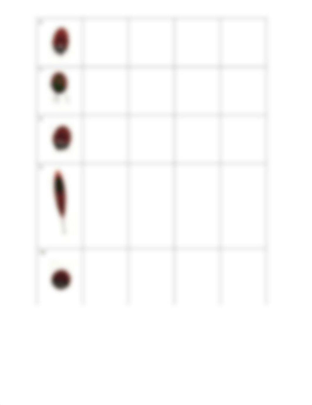 Blood Spatter Angle Fillable Worksheet.pdf_d8x7qwr2qu8_page2