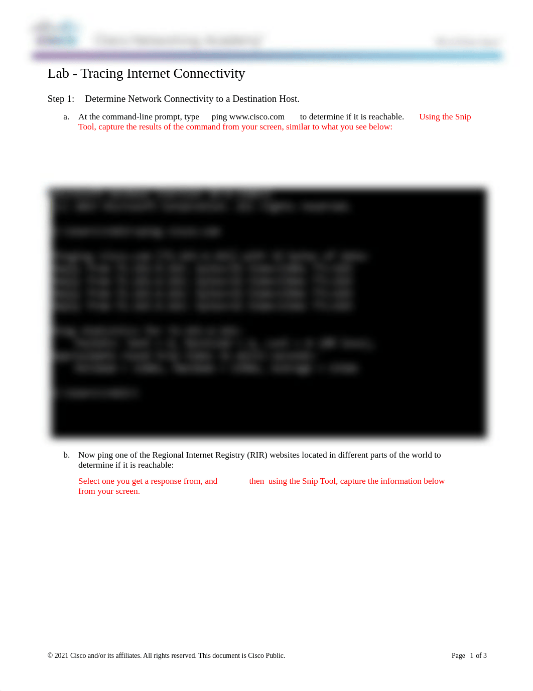 1.3.2.4 Lab - Tracing Internet Connectivity AnswerSheetdoneRM.docx_d8x9do83745_page1