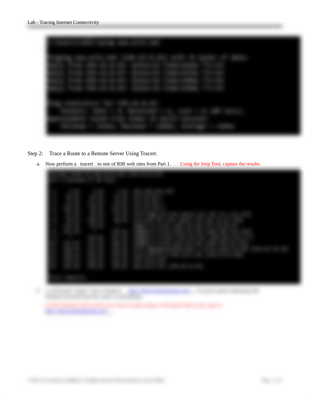 1.3.2.4 Lab - Tracing Internet Connectivity AnswerSheetdoneRM.docx_d8x9do83745_page2