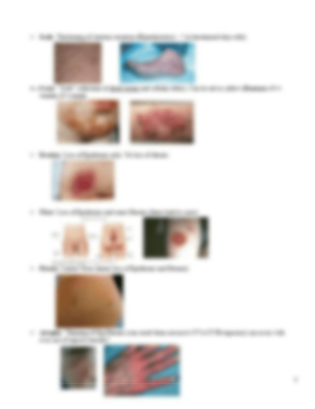 Copy of DERM REVIEW GUIDE updated (1).pdf_d8xdylzhkj0_page4