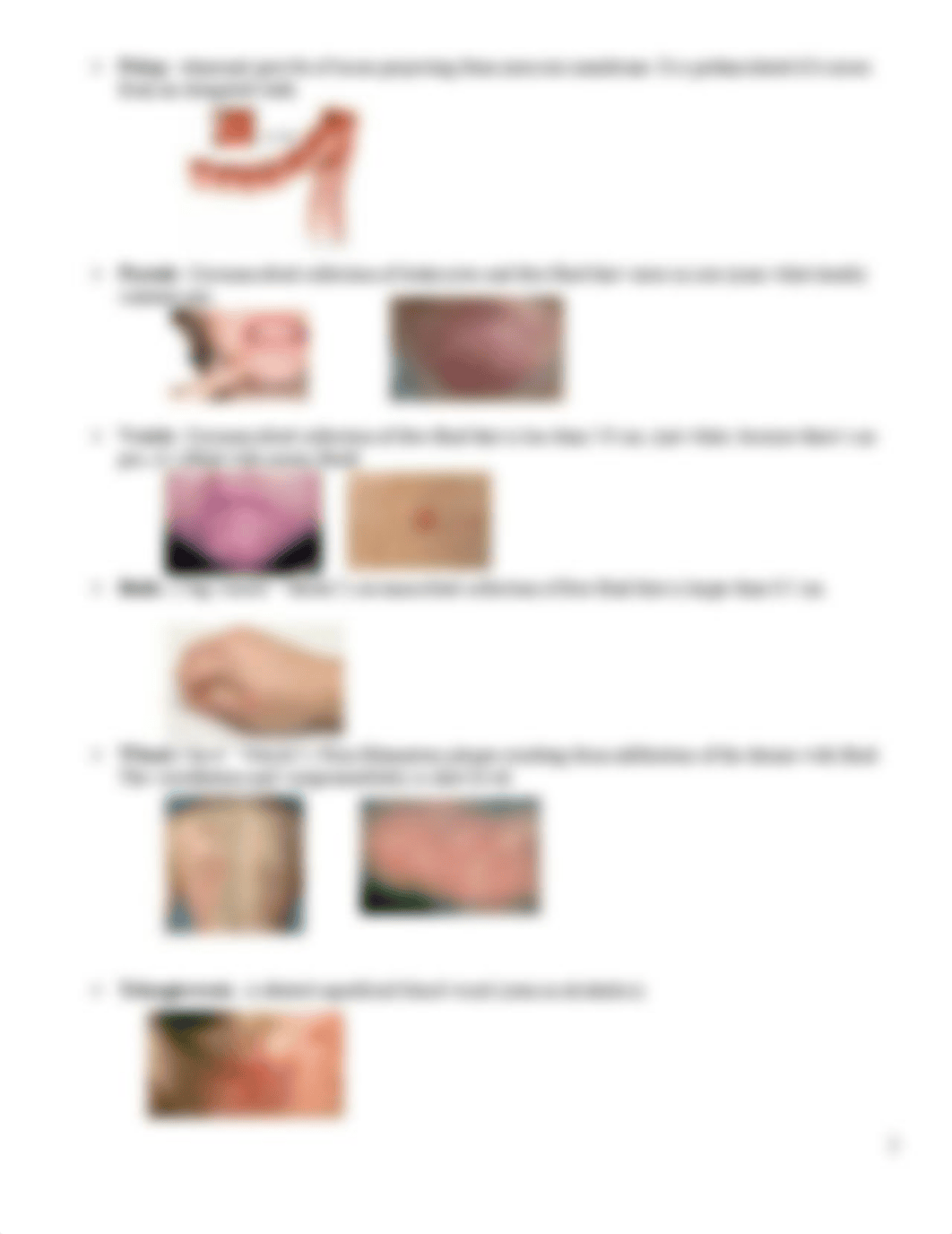 Copy of DERM REVIEW GUIDE updated (1).pdf_d8xdylzhkj0_page2