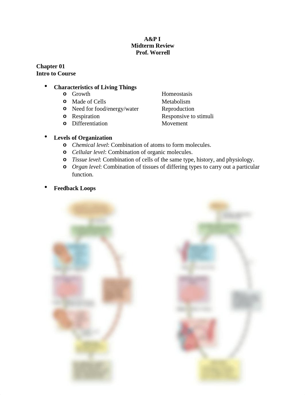 Bio251 Midterm Study Guide_July 2019.docx_d8xk9wf0ci8_page1