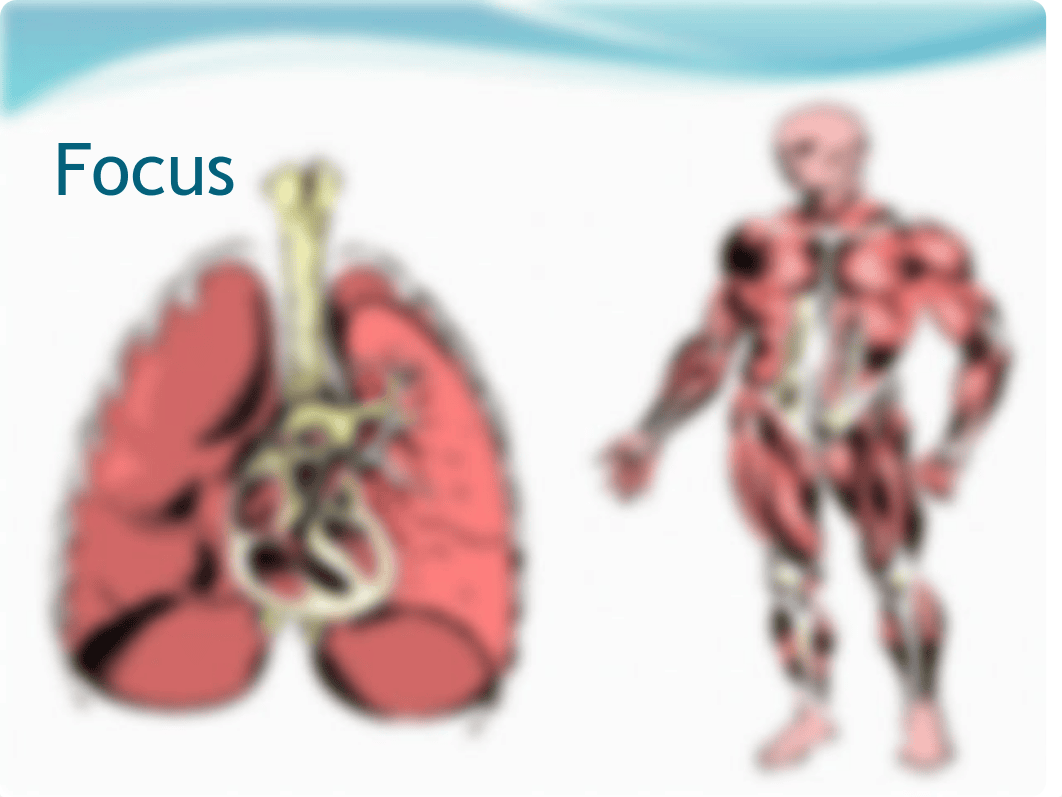 CV and Respiratory System.pdf_d8y0nliegp8_page4