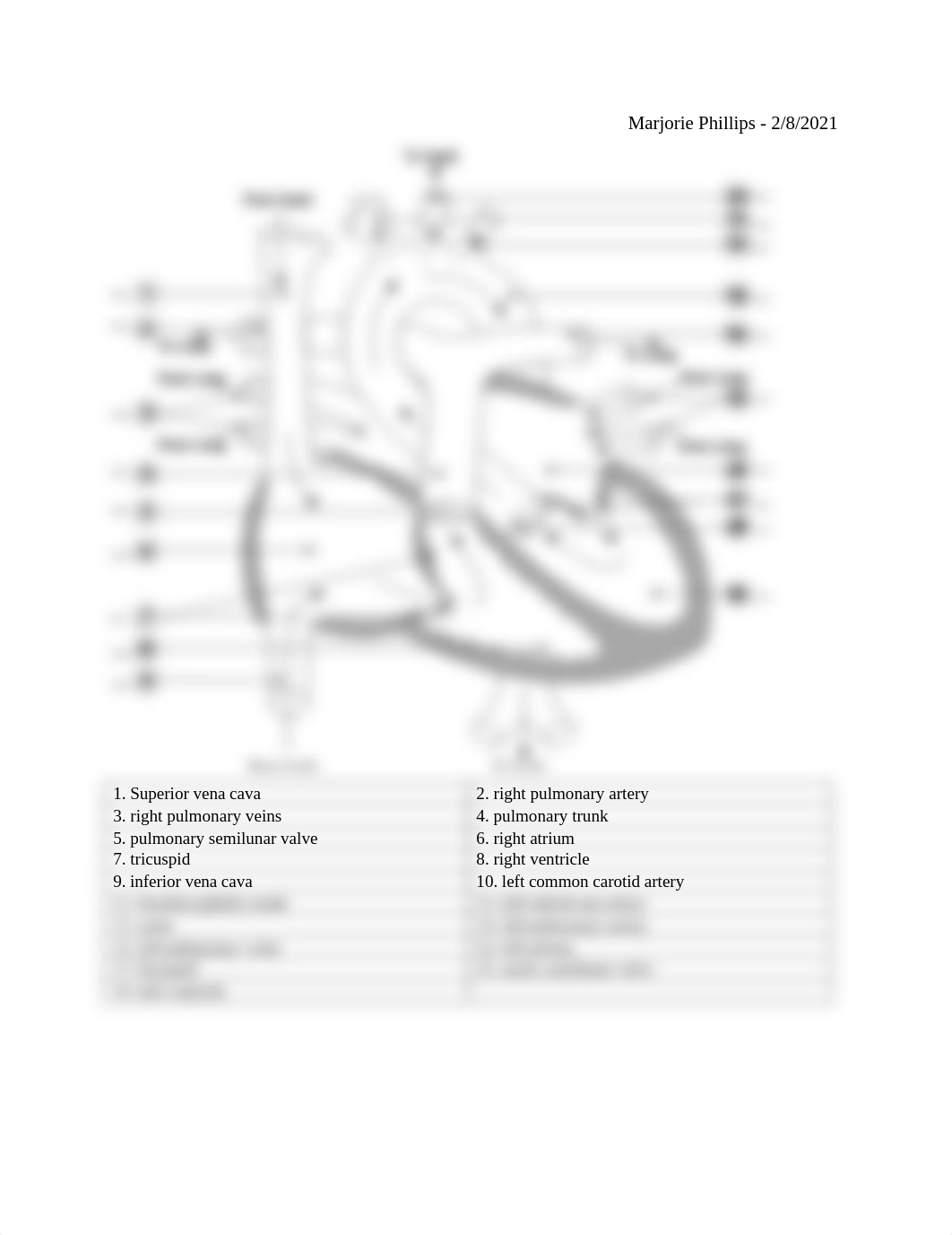 Heart Diagram Final.docx_d8y2slnh55i_page1