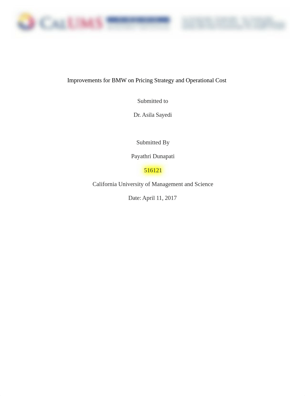 516121-payathri dunapati-Week1-Improvements for BMW on Pricing Strategy and Operational Cost-Submiss_d8yg7z2fixo_page1