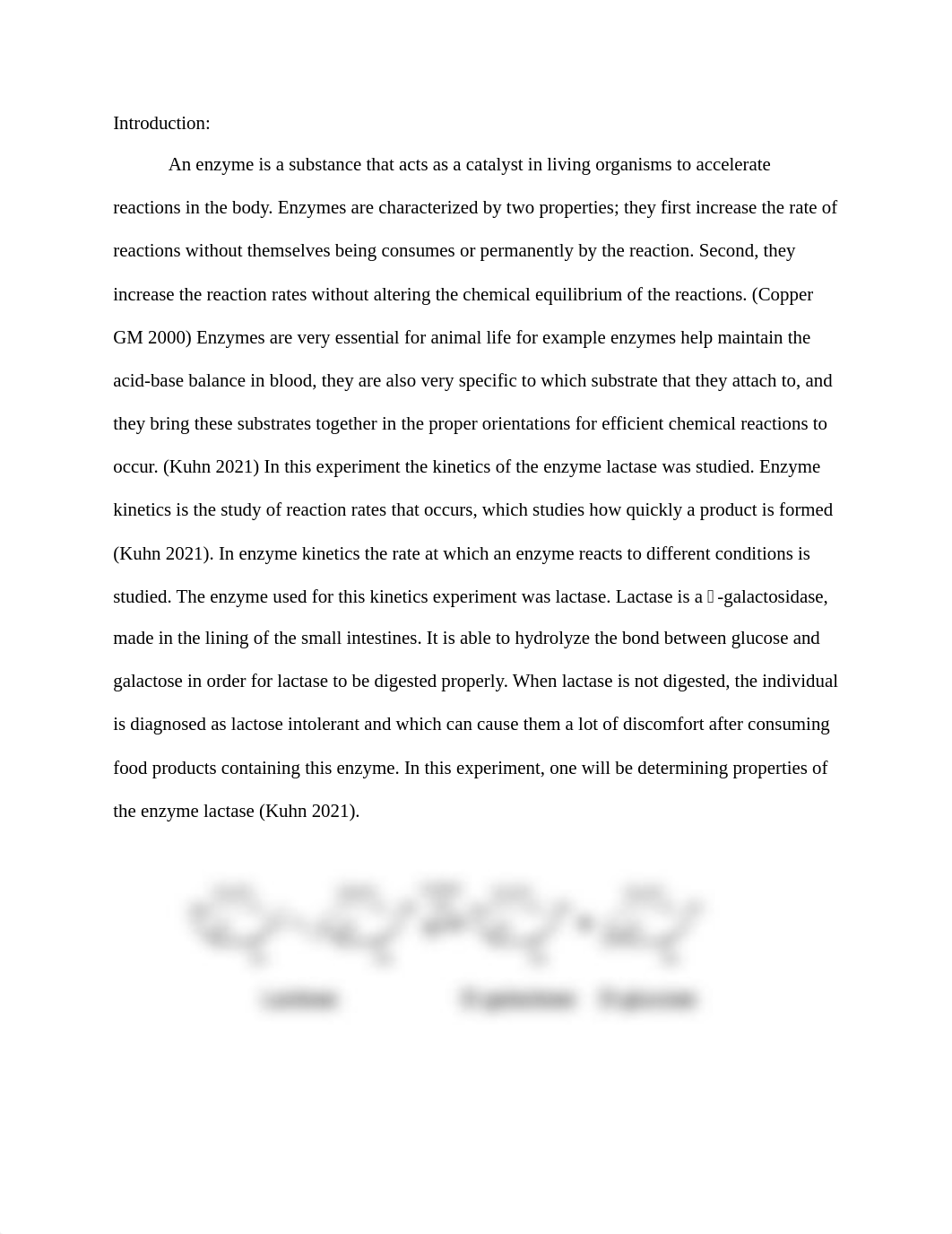 Kinetics of Lactase lab.docx_d8yhuhtnkw2_page2