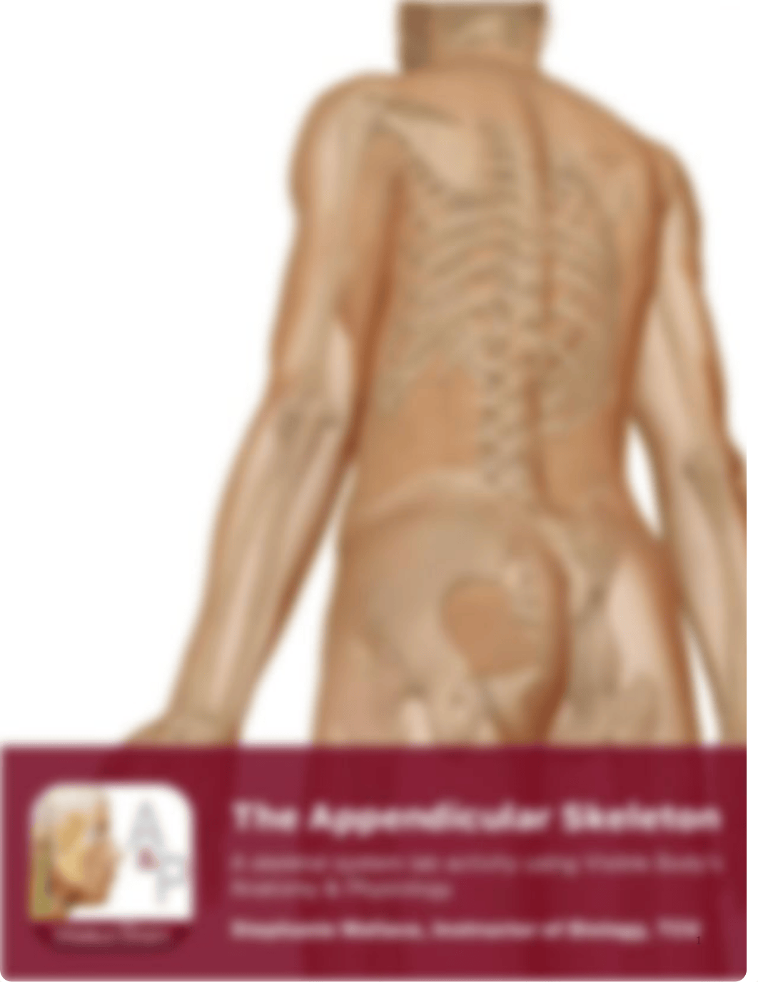 lab manual_appendicular_skeleton_a+p.pdf_d8ymn338dhu_page1