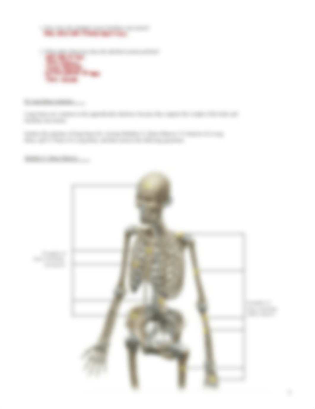 lab manual_appendicular_skeleton_a+p.pdf_d8ymn338dhu_page4