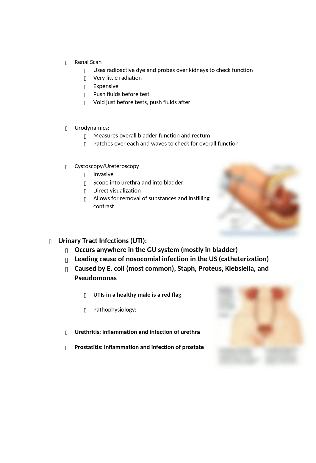 N361 Genitourinary GN_d8yql6bh5hc_page3