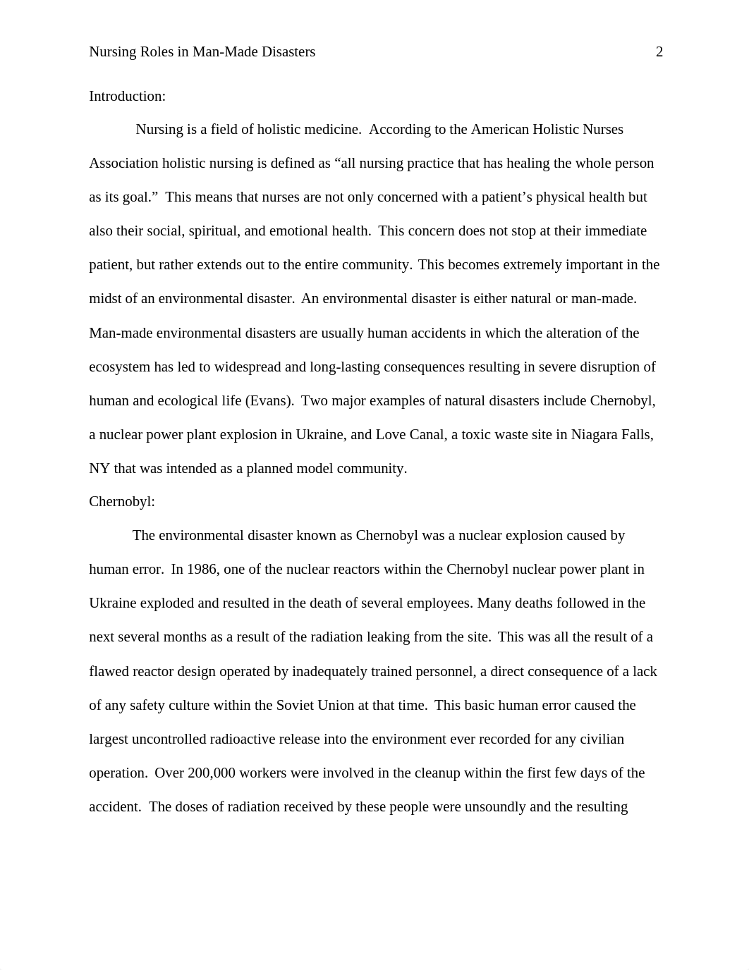 Environmental Disasters Paper (Final)_d8yxwybilw8_page2