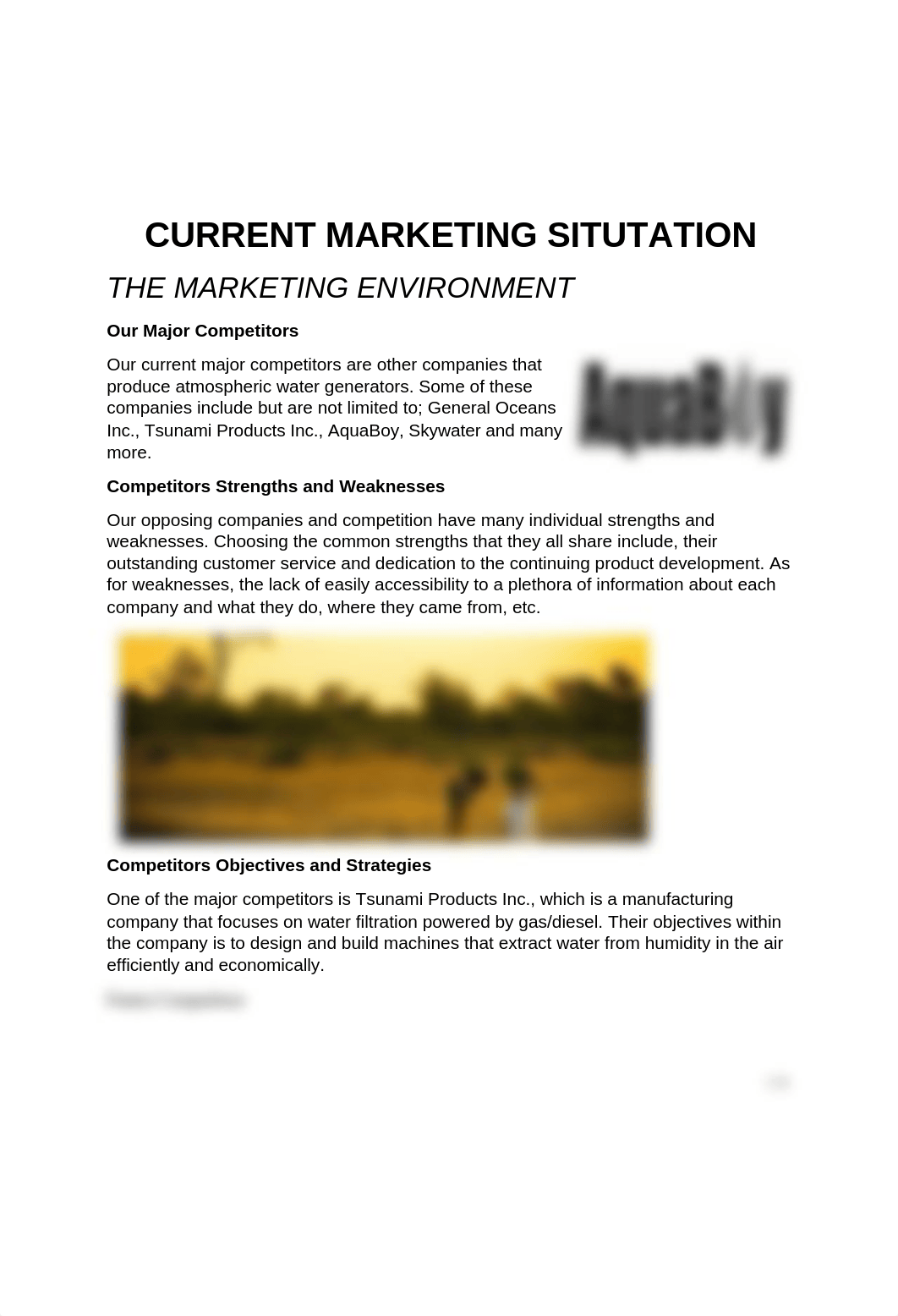 Marketing Plan 4.docx_d8z2qfuwrsm_page4