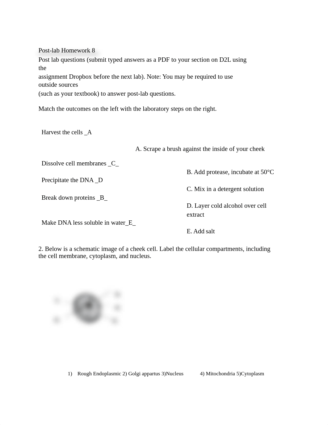 pre-lab 8.pdf_d8z9zikjos2_page1