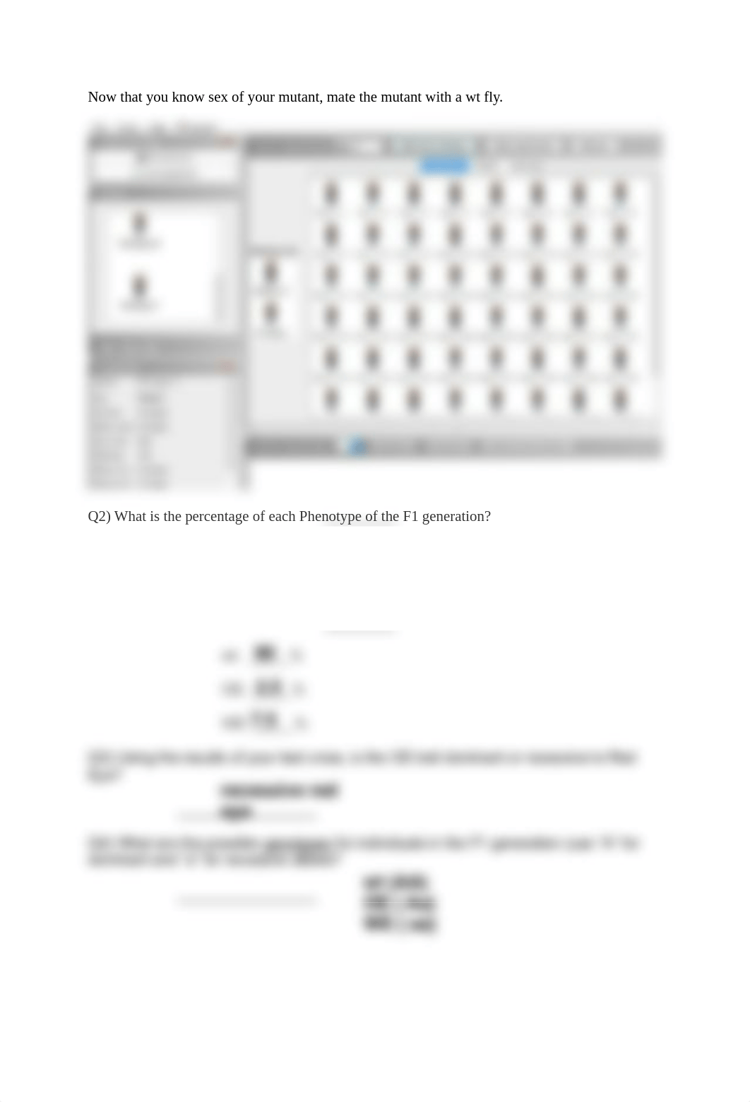 ilZob3-Transmission Genetics Lab copy.pdf_d8zkg2snnvl_page2