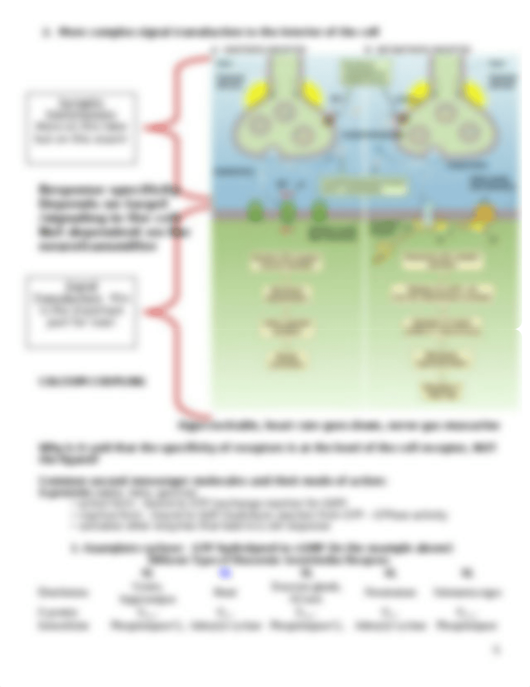 Unit 1 Notes.doc_d8zm2ohlq1z_page5