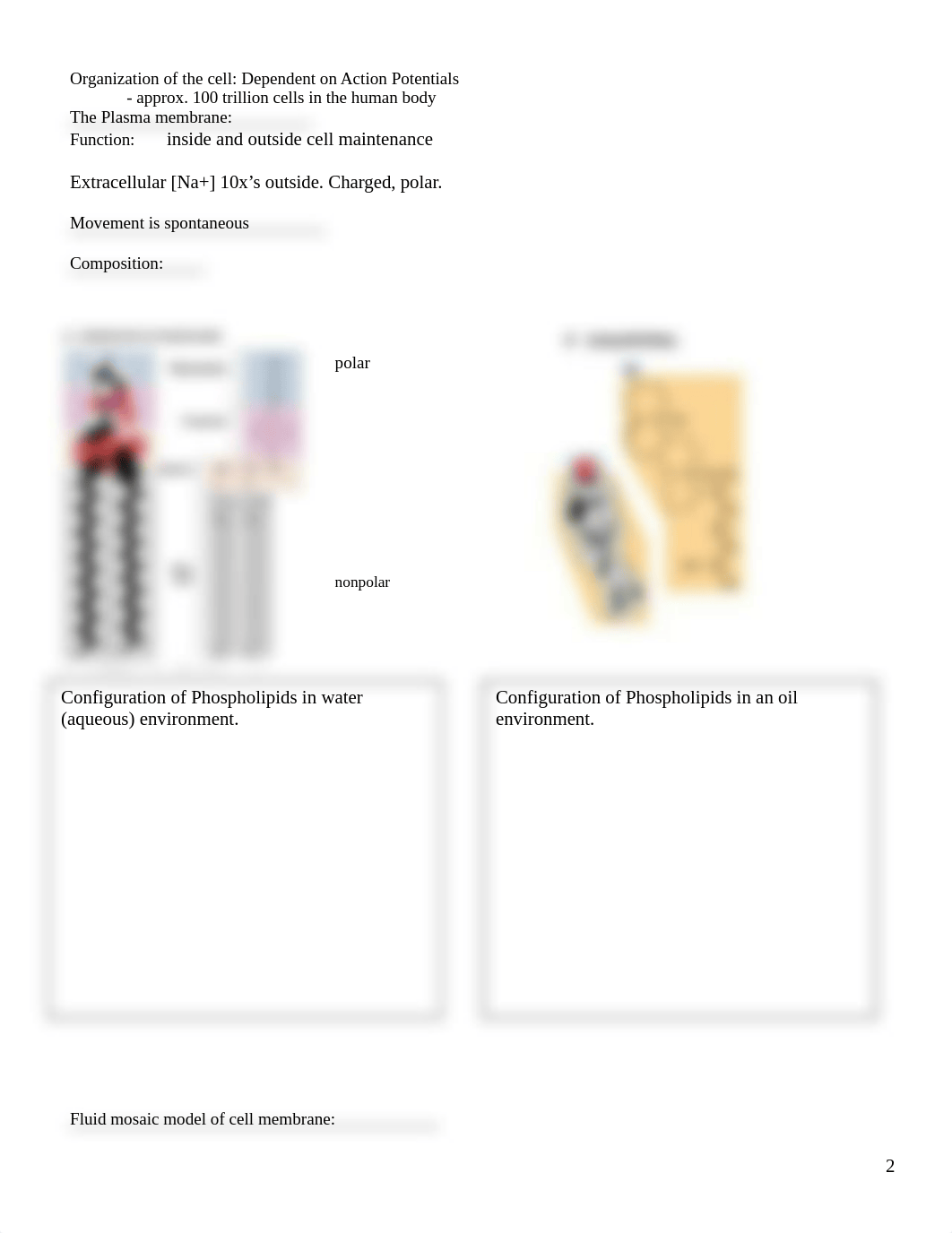 Unit 1 Notes.doc_d8zm2ohlq1z_page2