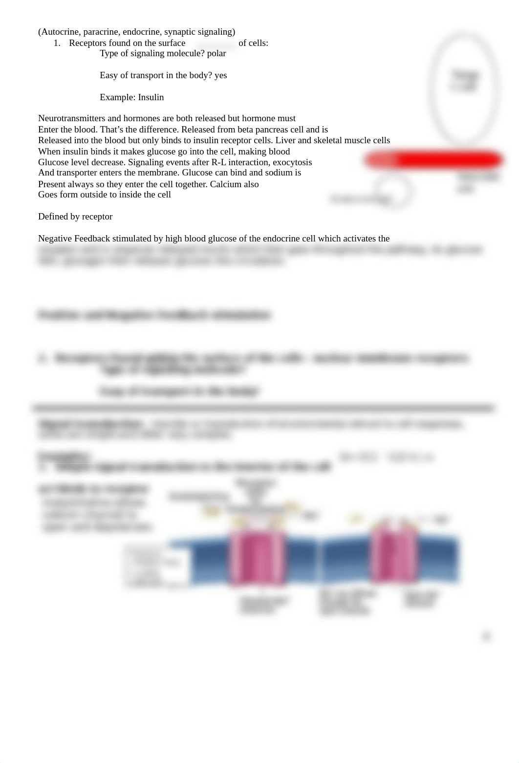 Unit 1 Notes.doc_d8zm2ohlq1z_page4