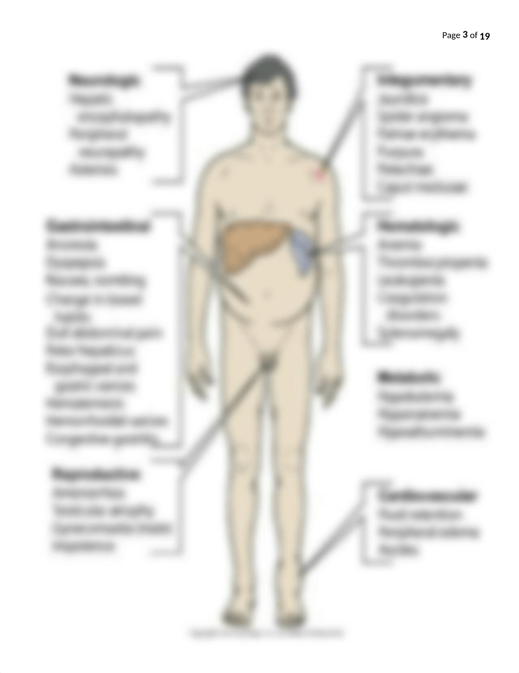 cirrhosis.docx_d8zyluk27l8_page3