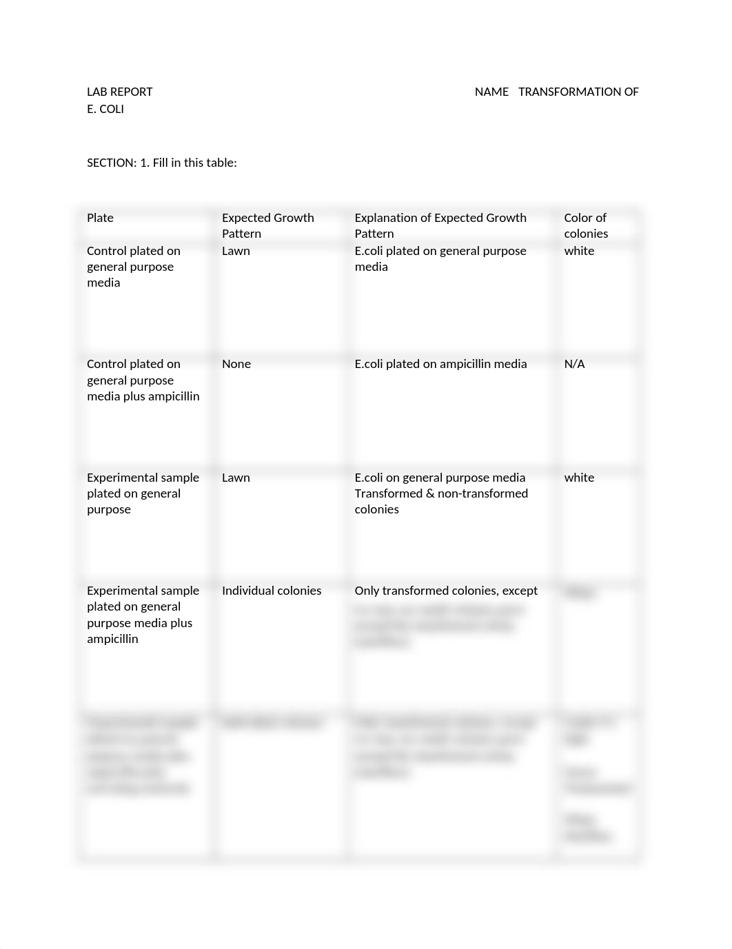 Transformation Lab Report.docx_d902gjsc04a_page1