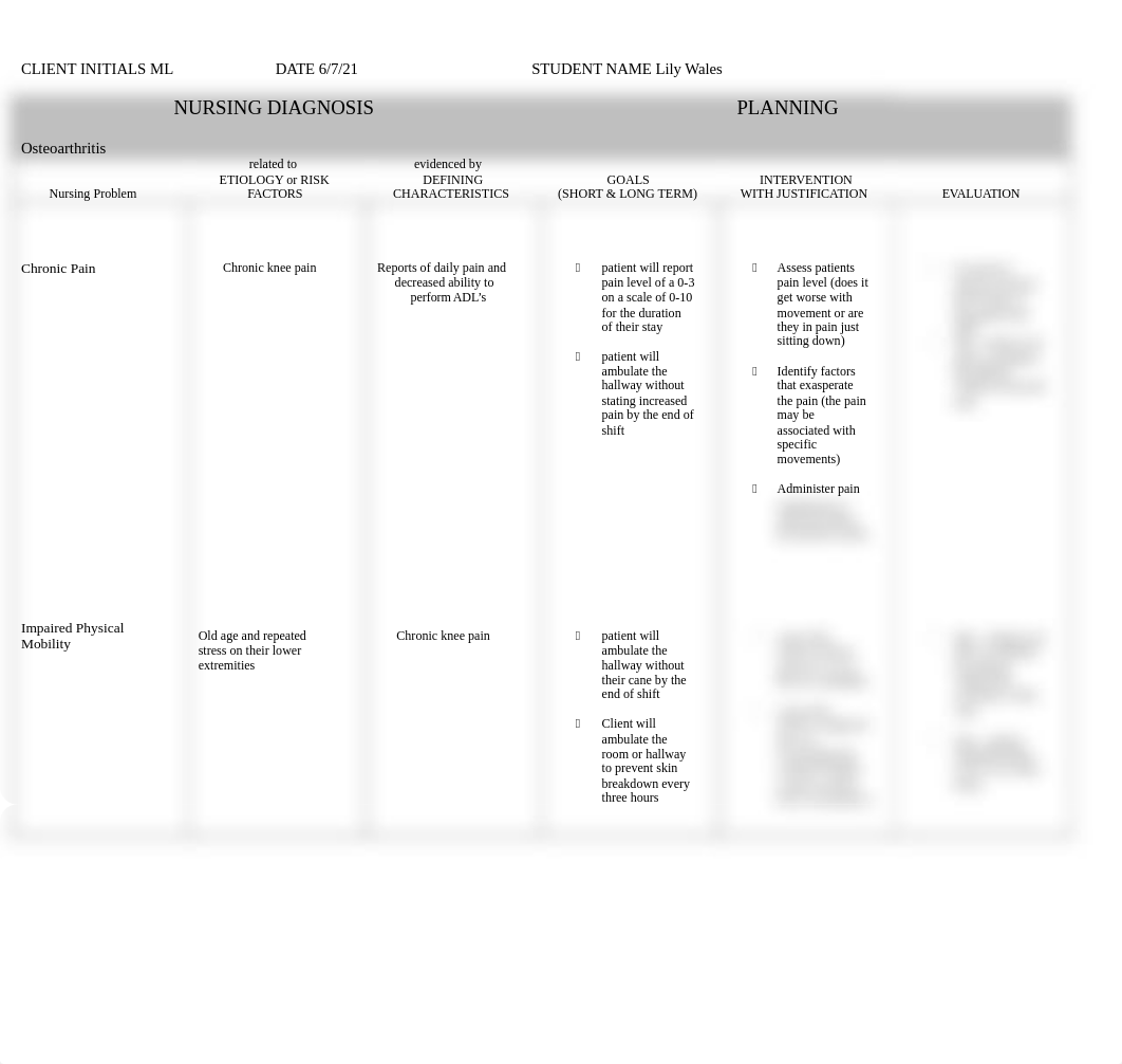 care plan seminar 5 osteoarthritis.docx_d909rwfb5od_page1