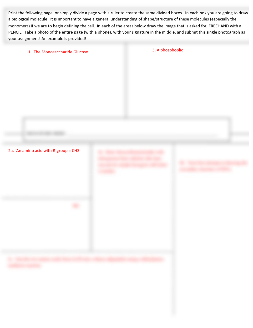 Module #3 Drawing Biological Molecules Assignment Template.pdf_d90de7mxj6o_page1