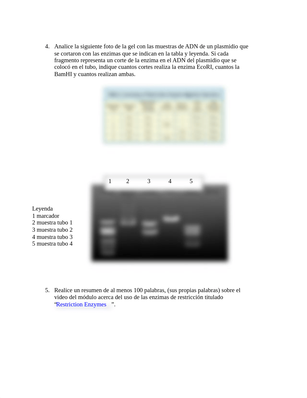 Informe de Enzimas de restricción (3) (2).docx_d90ffbylty1_page2