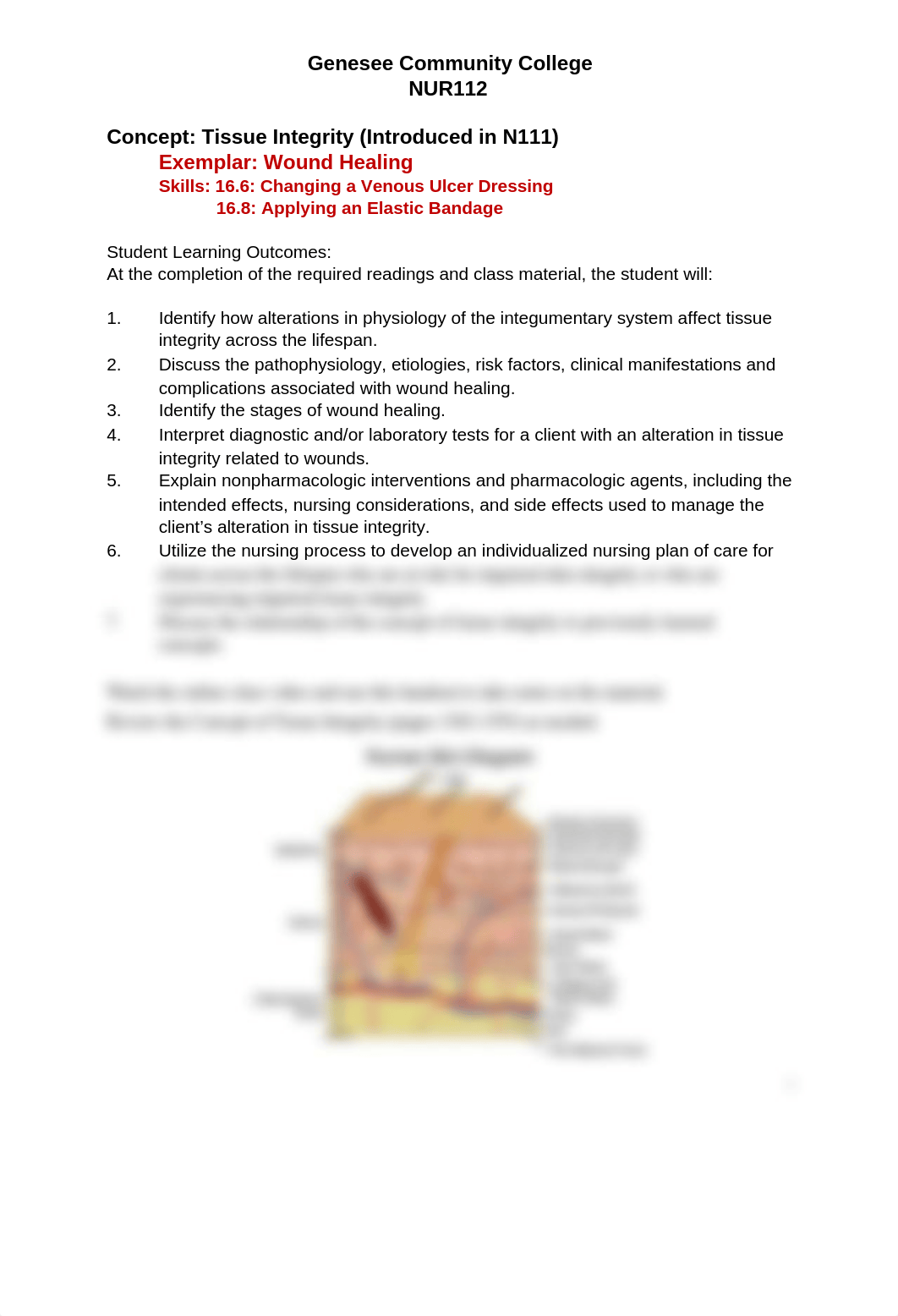 Wound Healing handout.docx_d90p9lsez4o_page1