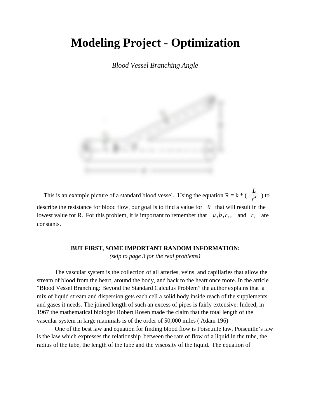 Modeling Project - Optimization.docx_d90ul44rdsn_page1