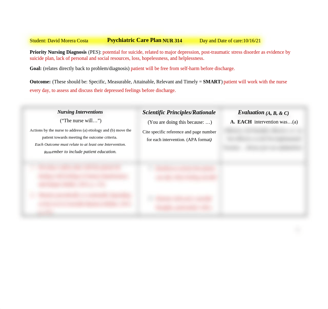 Fa21 Psychiatric Care Plan form.docx_d90v6n582yc_page1