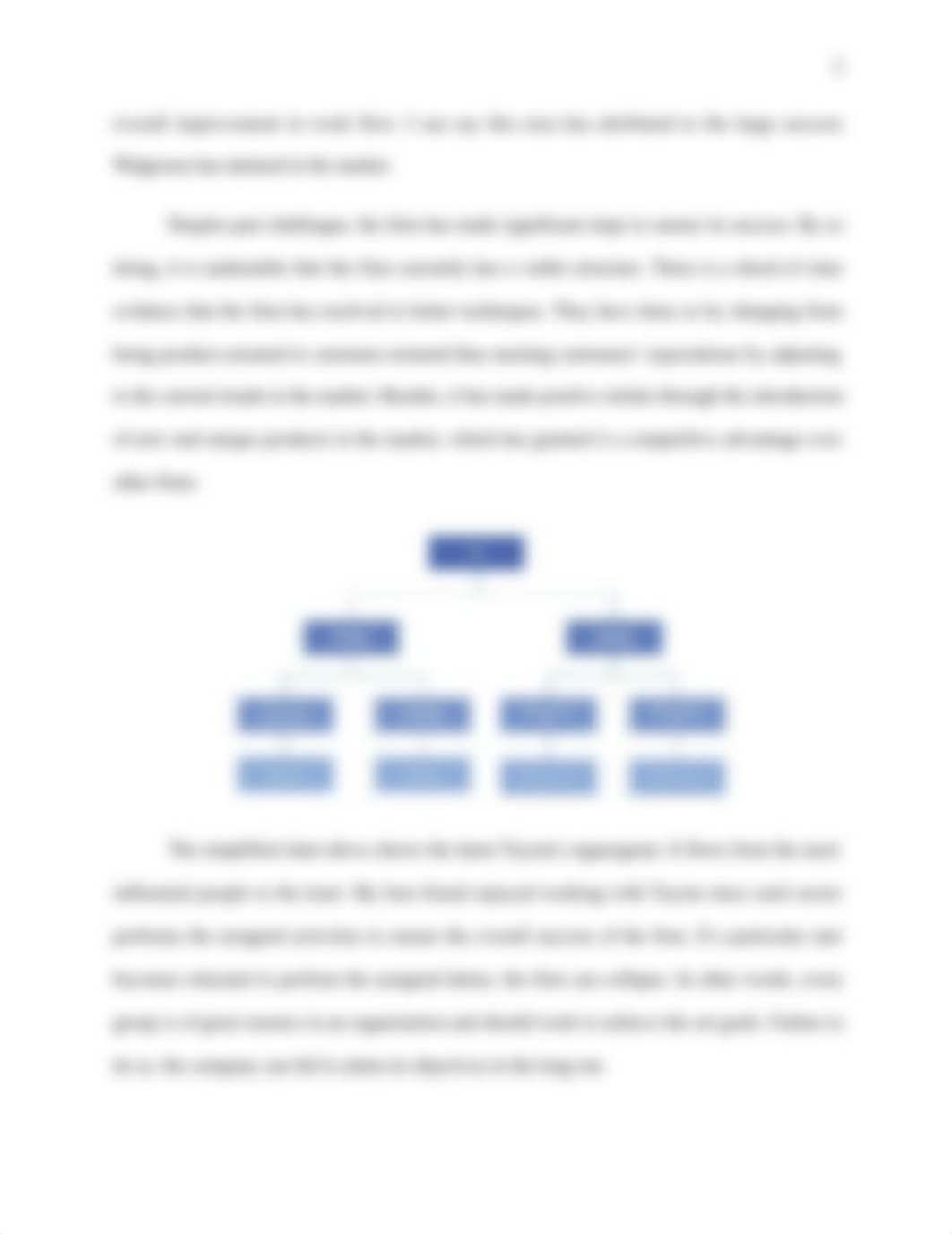 GENERAL MOTORS ORGANISATION STRUCTURE..docx_d910157466z_page2