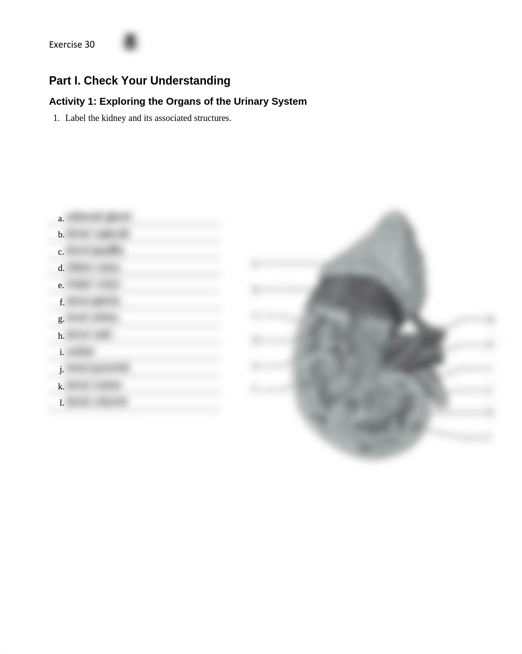 14. Unit 14 laboratory exercise 30 EDIT - done.pdf_d91a5e36c6h_page1