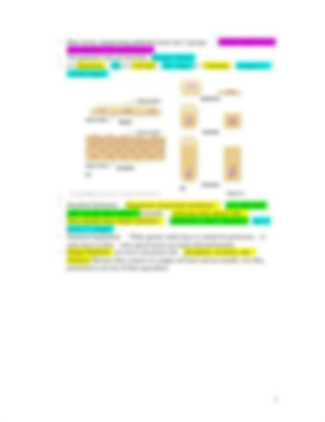 Chapter 4 Tissue Histology.docx_d91axqabfyw_page3