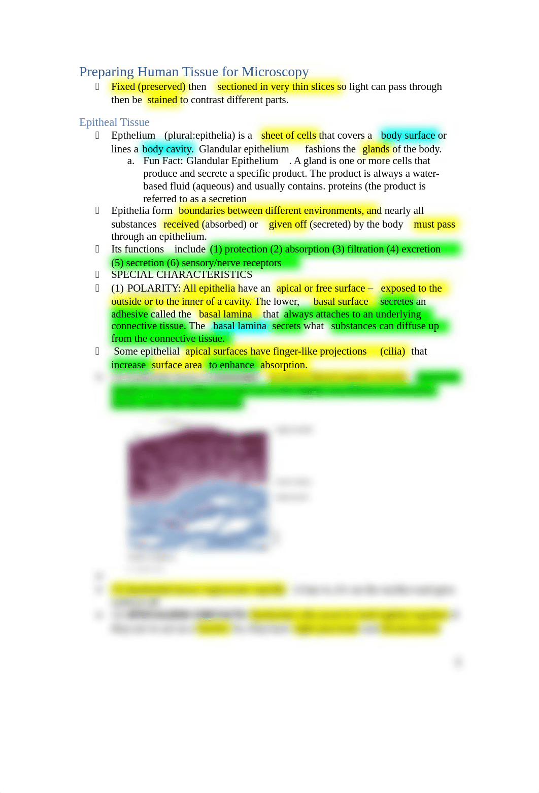 Chapter 4 Tissue Histology.docx_d91axqabfyw_page2