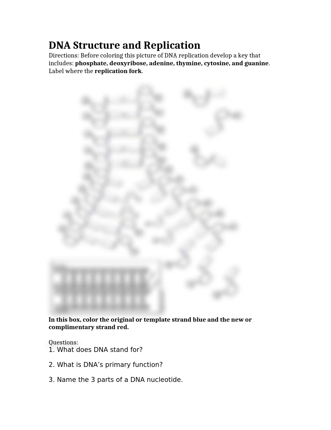 DNA_Structure_and_Replication.docx_d91ceqjhn89_page1