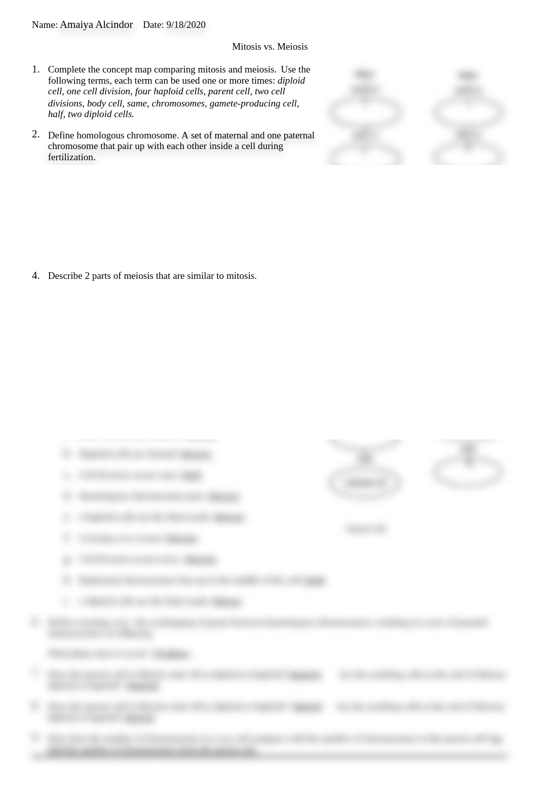 Mitosis vs Meiosis Worksheet.doc_d91gs0dd6c2_page1