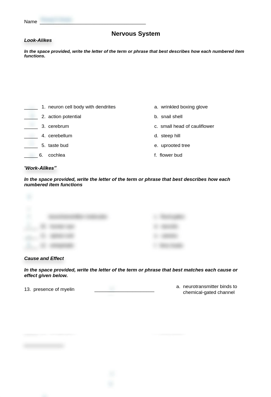 Kami Export - Nervous System Worksheet1.pdf_d91h99cvob2_page1