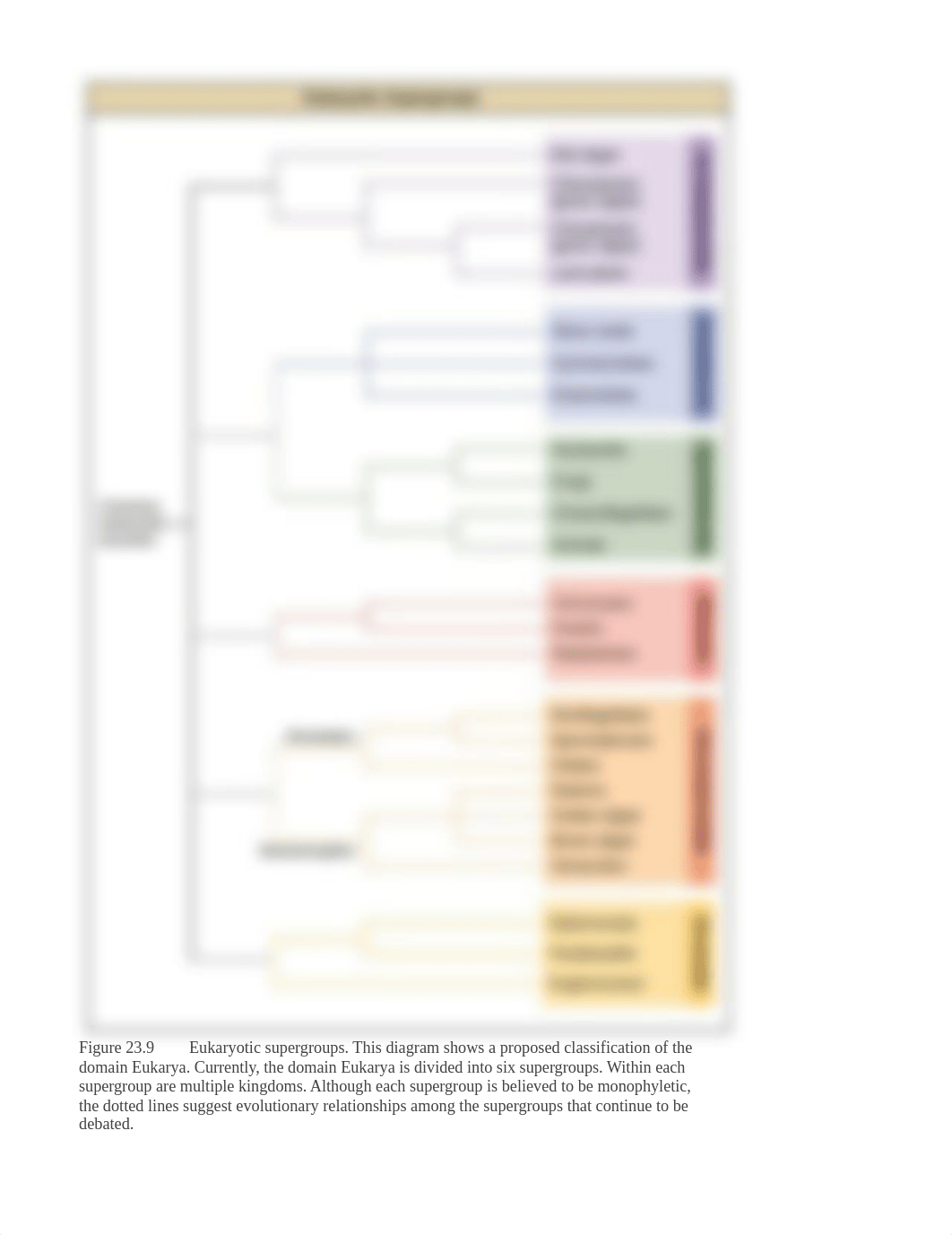 BIOL 213 Lab 2 Protists.docx_d91o3484p9y_page2