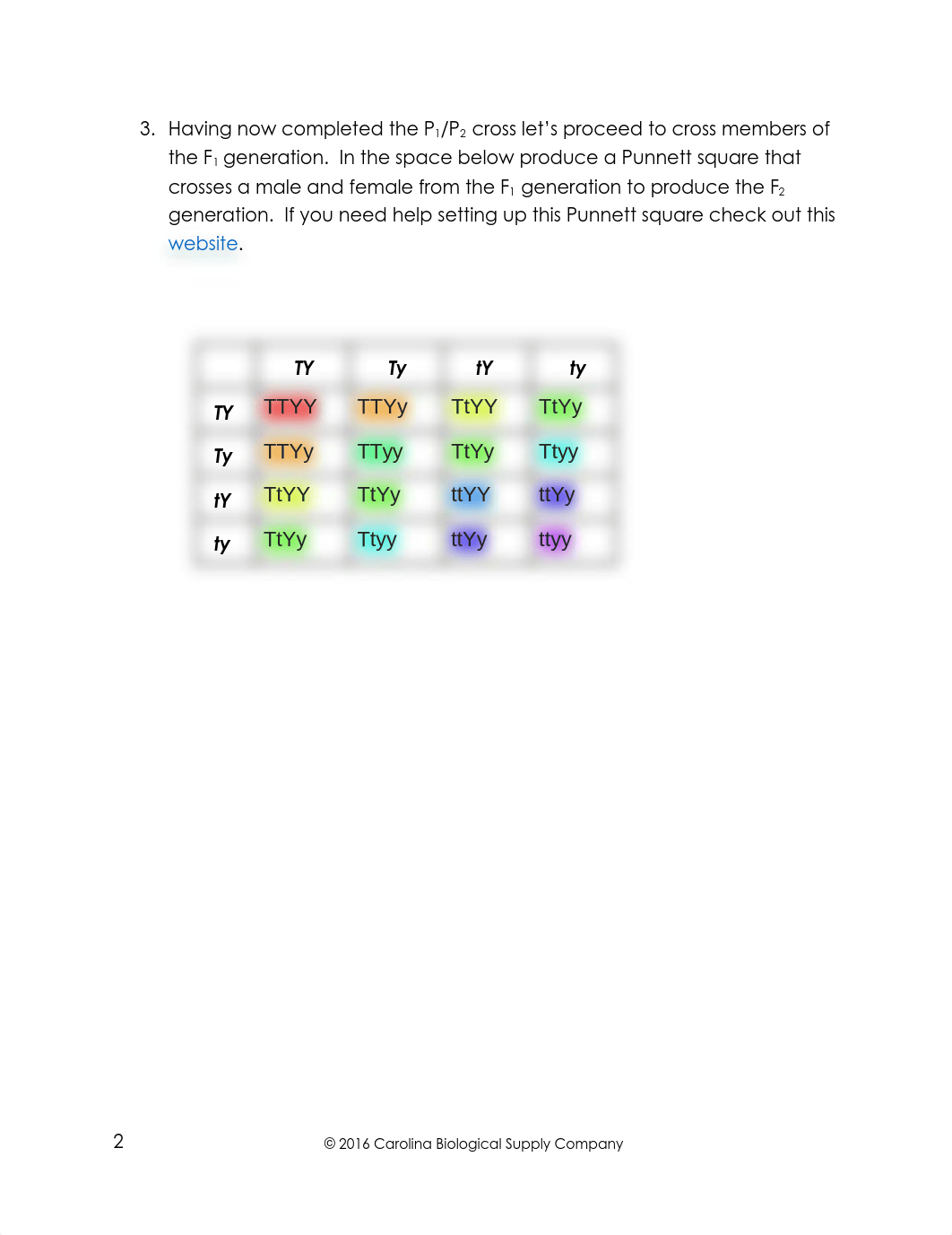 Lab_Report_Mendelian_Genetics (1).docx_d91w0cmzlrw_page3