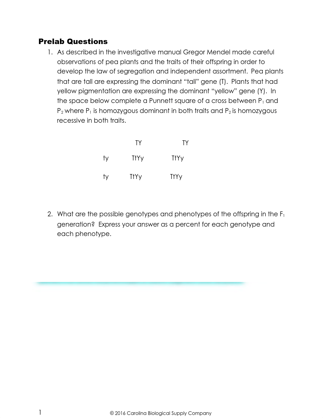 Lab_Report_Mendelian_Genetics (1).docx_d91w0cmzlrw_page2