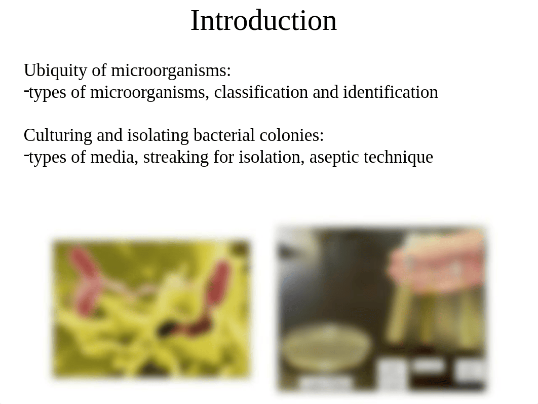 Lab 2 SLIDES micro lab.ppt_d91xdzxvob2_page2