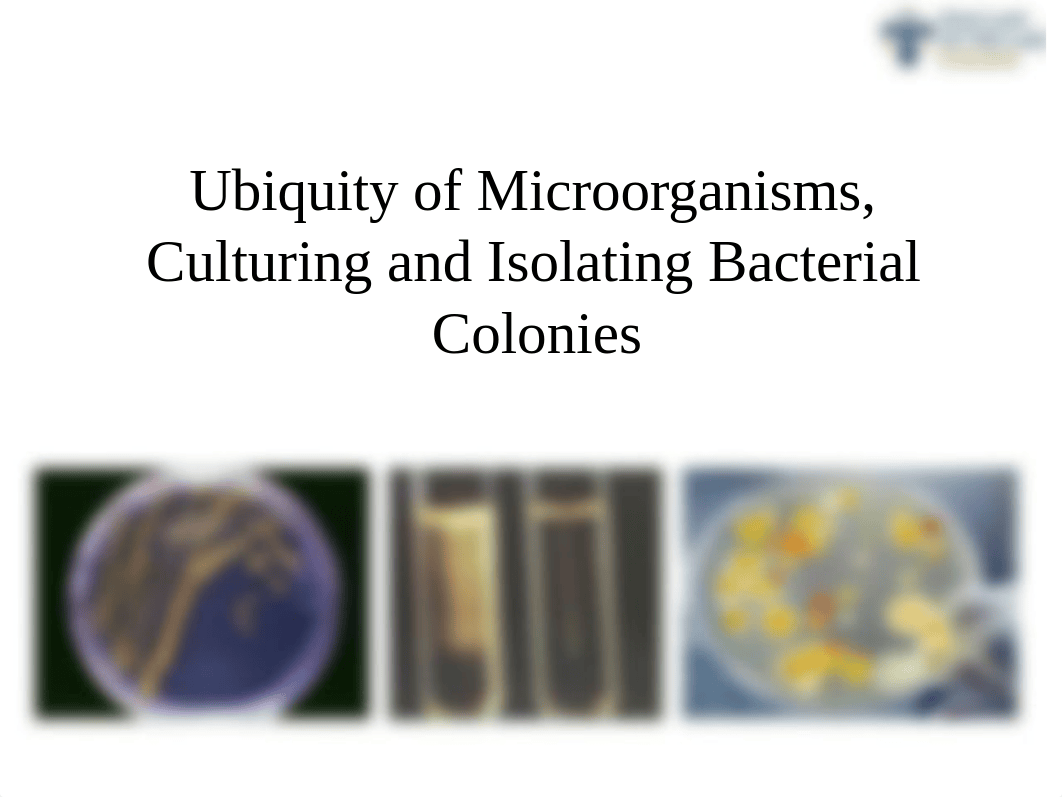 Lab 2 SLIDES micro lab.ppt_d91xdzxvob2_page1