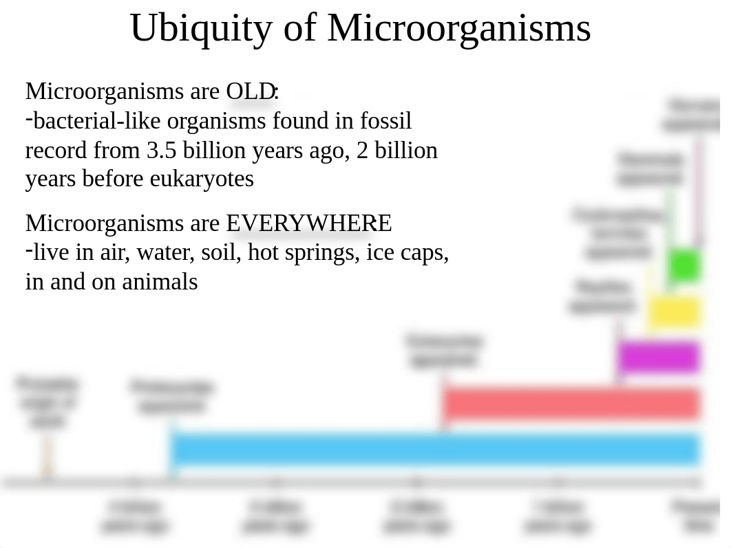 Lab 2 SLIDES micro lab.ppt_d91xdzxvob2_page3