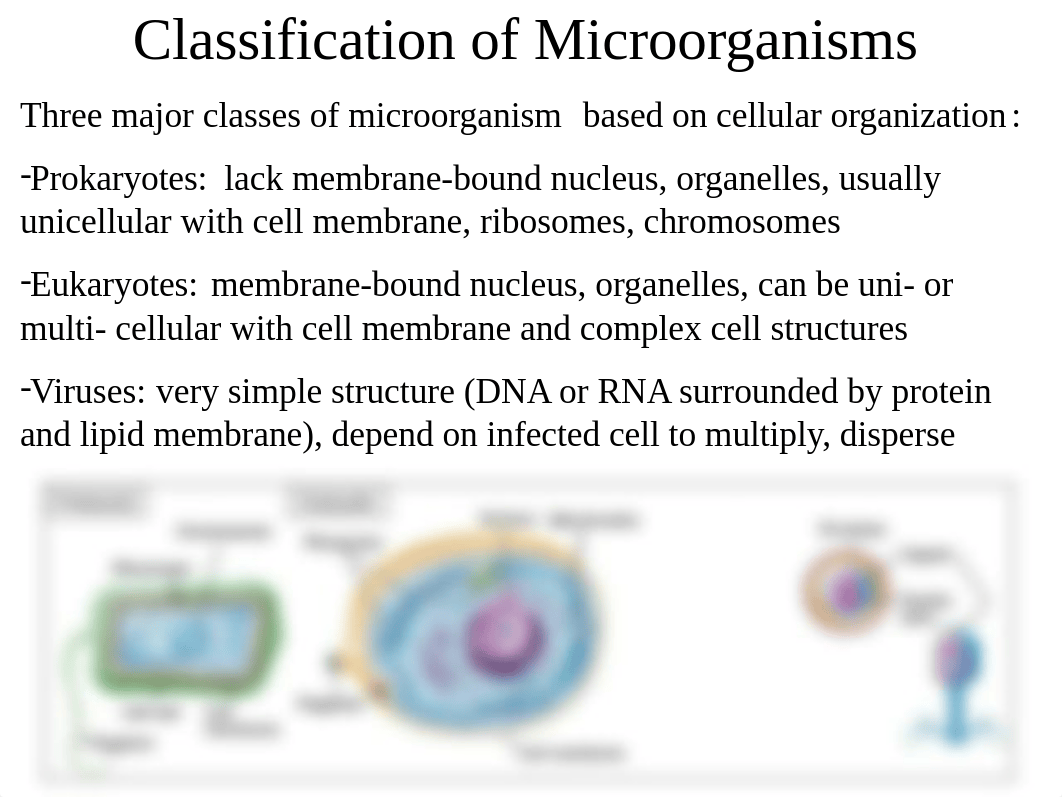 Lab 2 SLIDES micro lab.ppt_d91xdzxvob2_page4