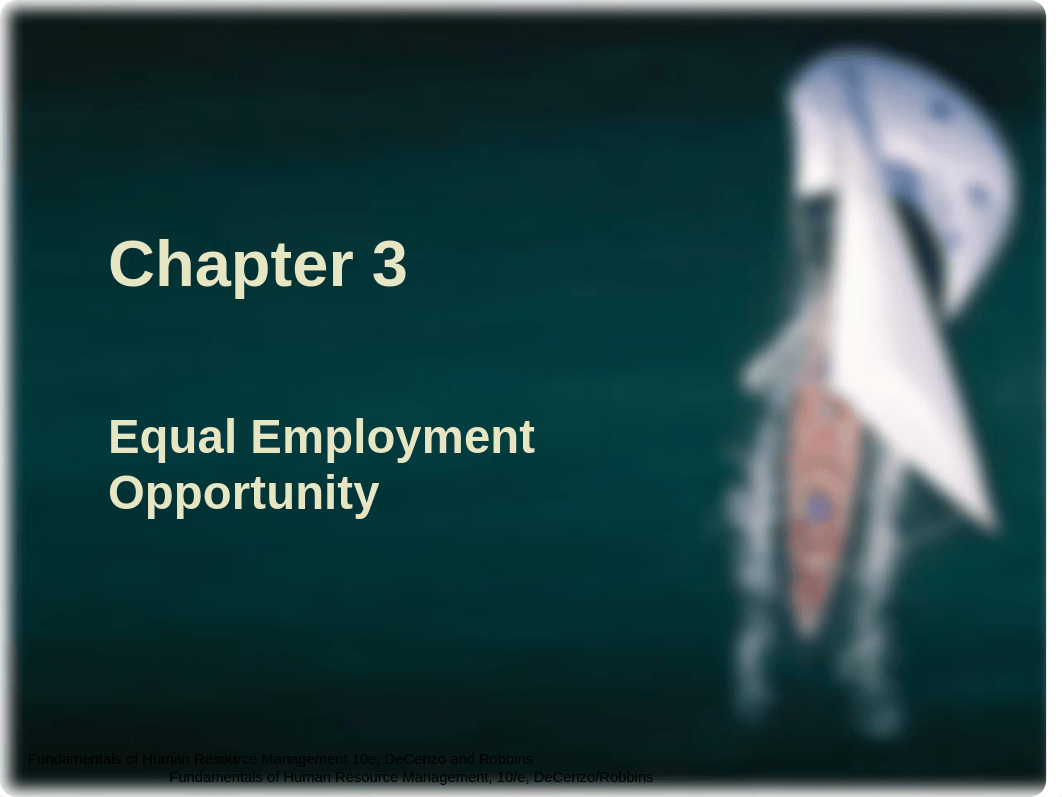 Chapter 3 Equal Employment Opportunity_d92aujq2r3g_page1