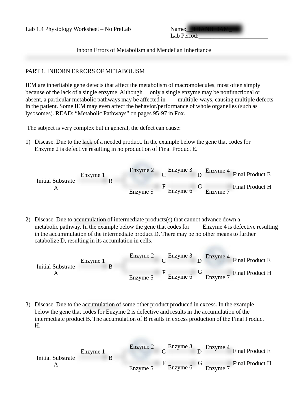 Lab 1.4 IEM and Inheritance .pdf_d92eow37xnl_page1