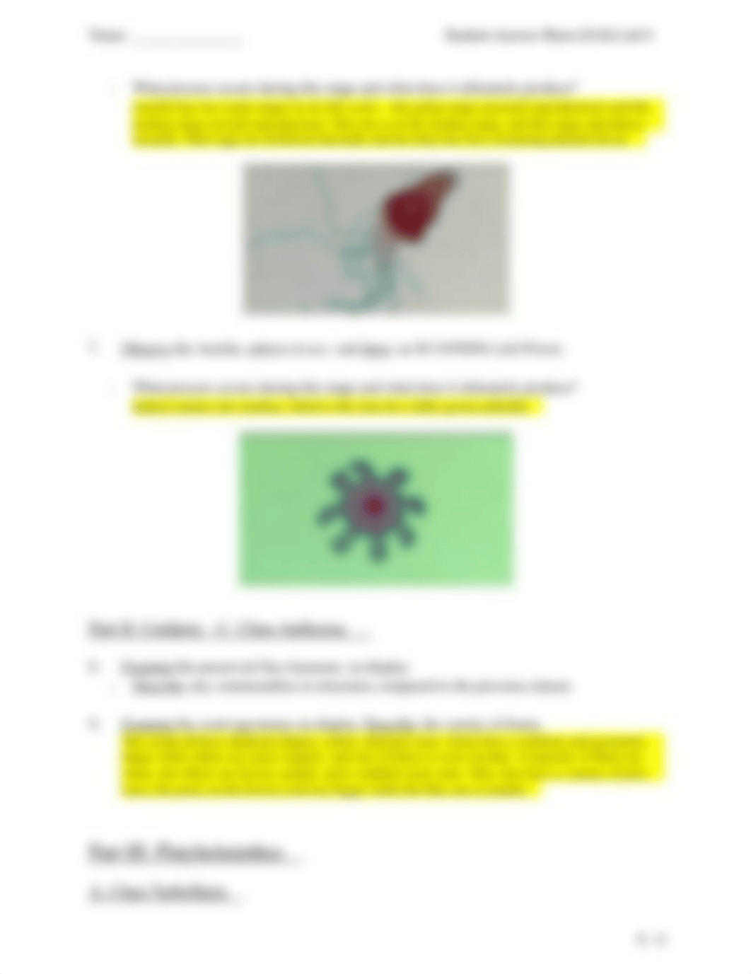 Lab 8 Invertebrates.docx_d92gcfpht1w_page4