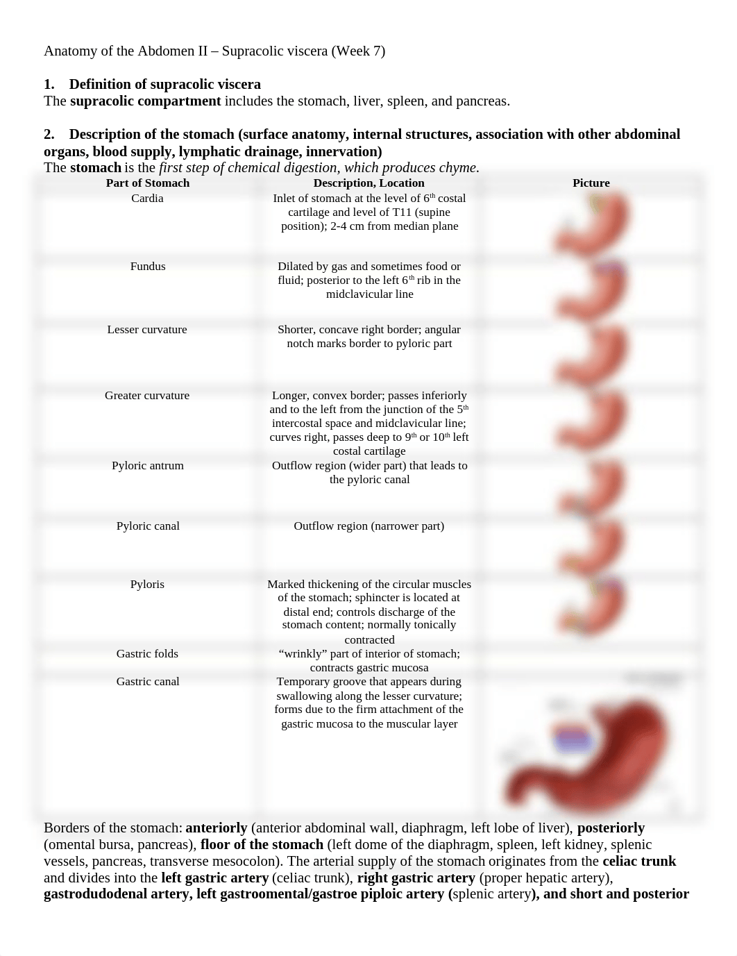 Anatomy of the Abdomen II - Supracolic viscera.docx_d92gs8ilhi0_page1